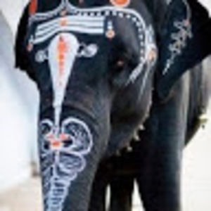 Meet your Posher, Delilah